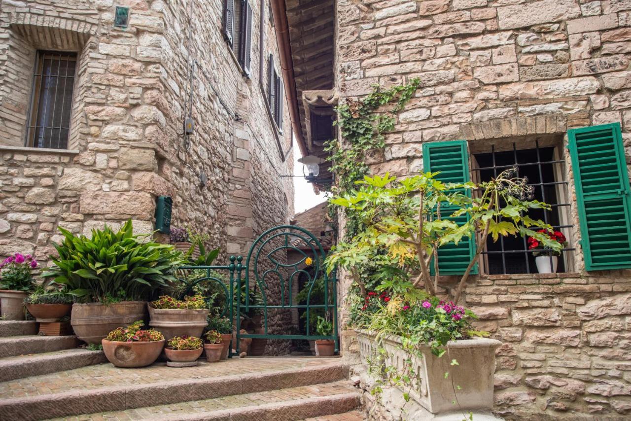 La Viola Di Assisi Hotell Exteriör bild