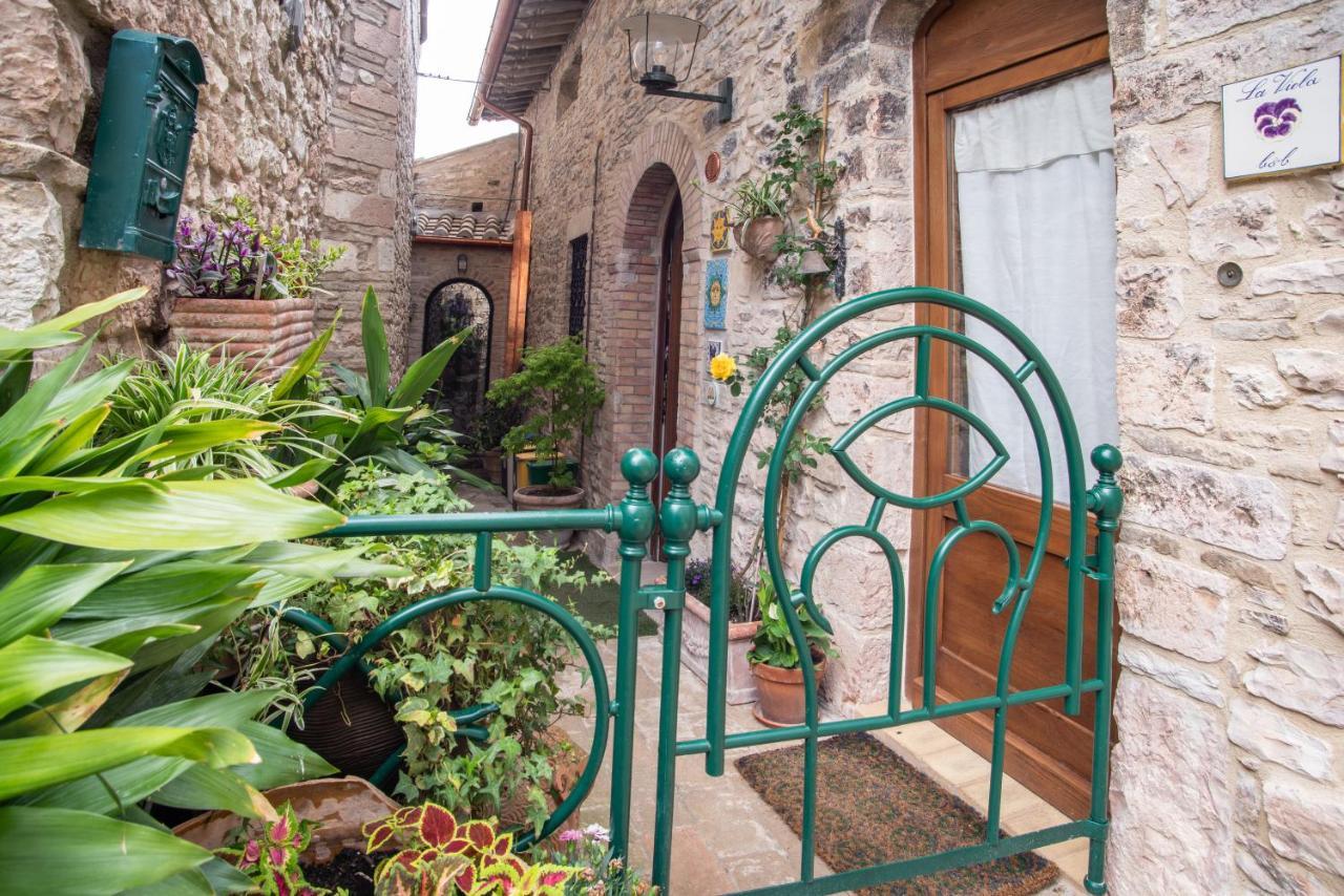La Viola Di Assisi Hotell Exteriör bild