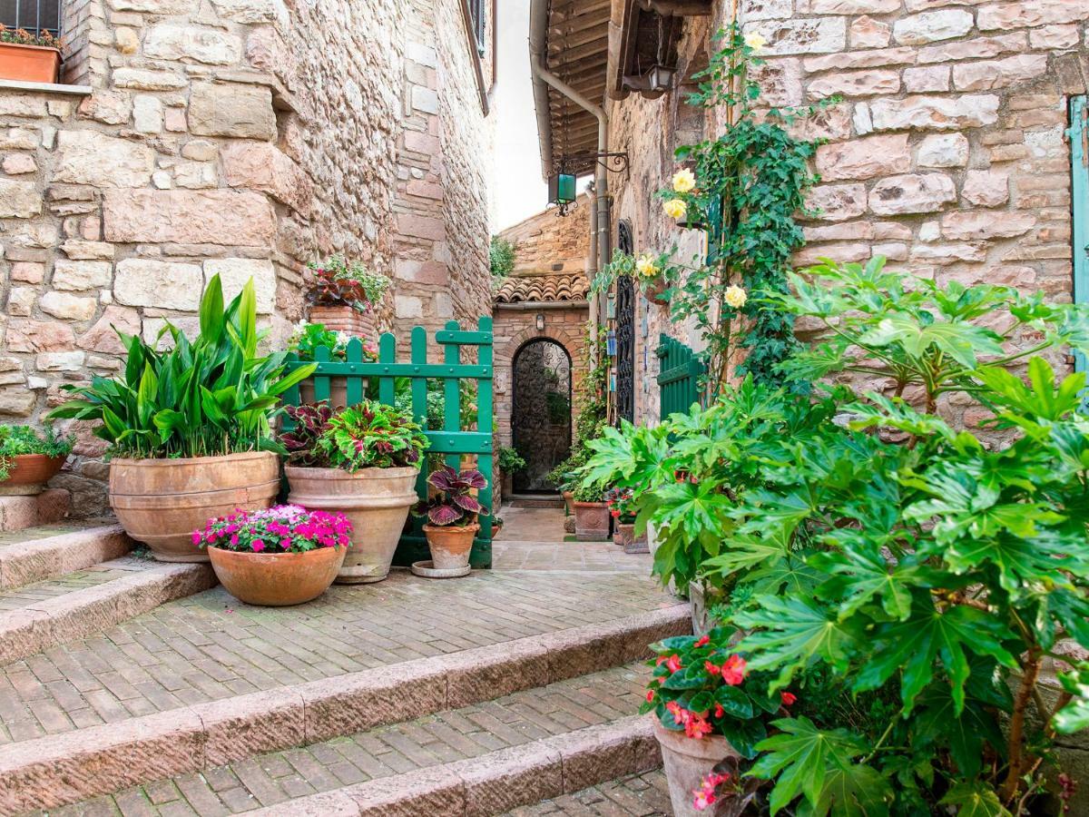 La Viola Di Assisi Hotell Exteriör bild